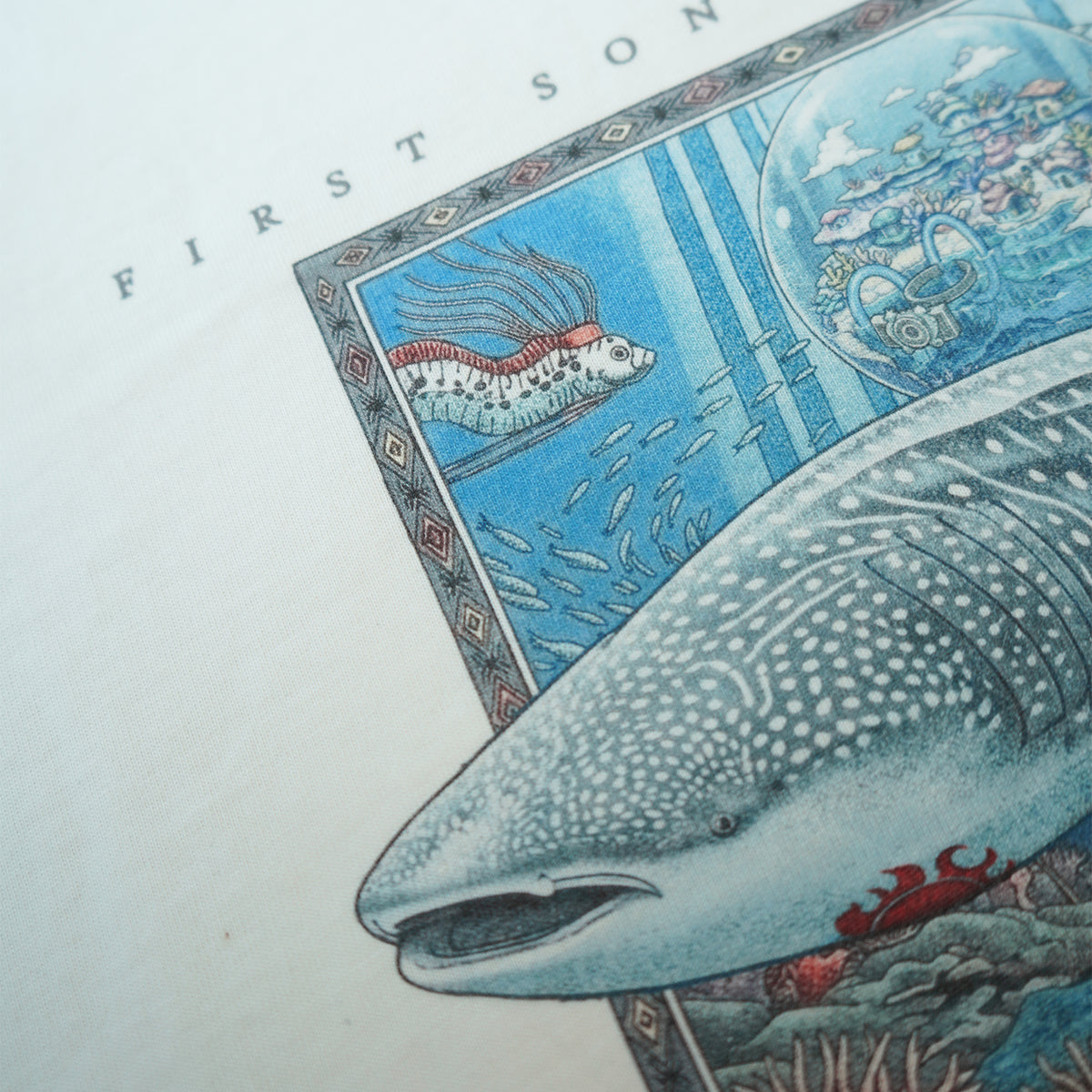 Illustration of a whale shark with an underwater scene in the background