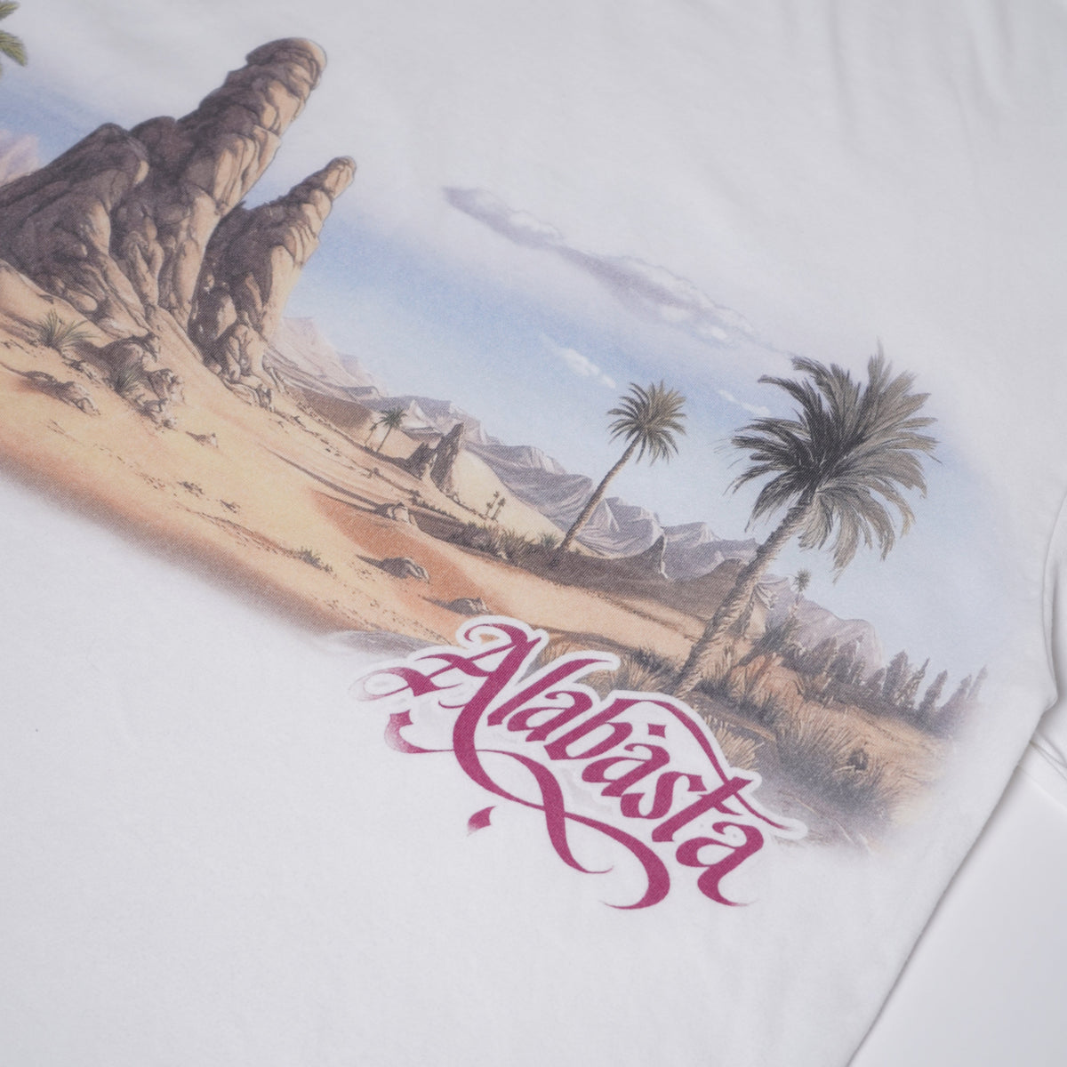 White hoodie with a graphic design of a desert landscape and cactus on a white background