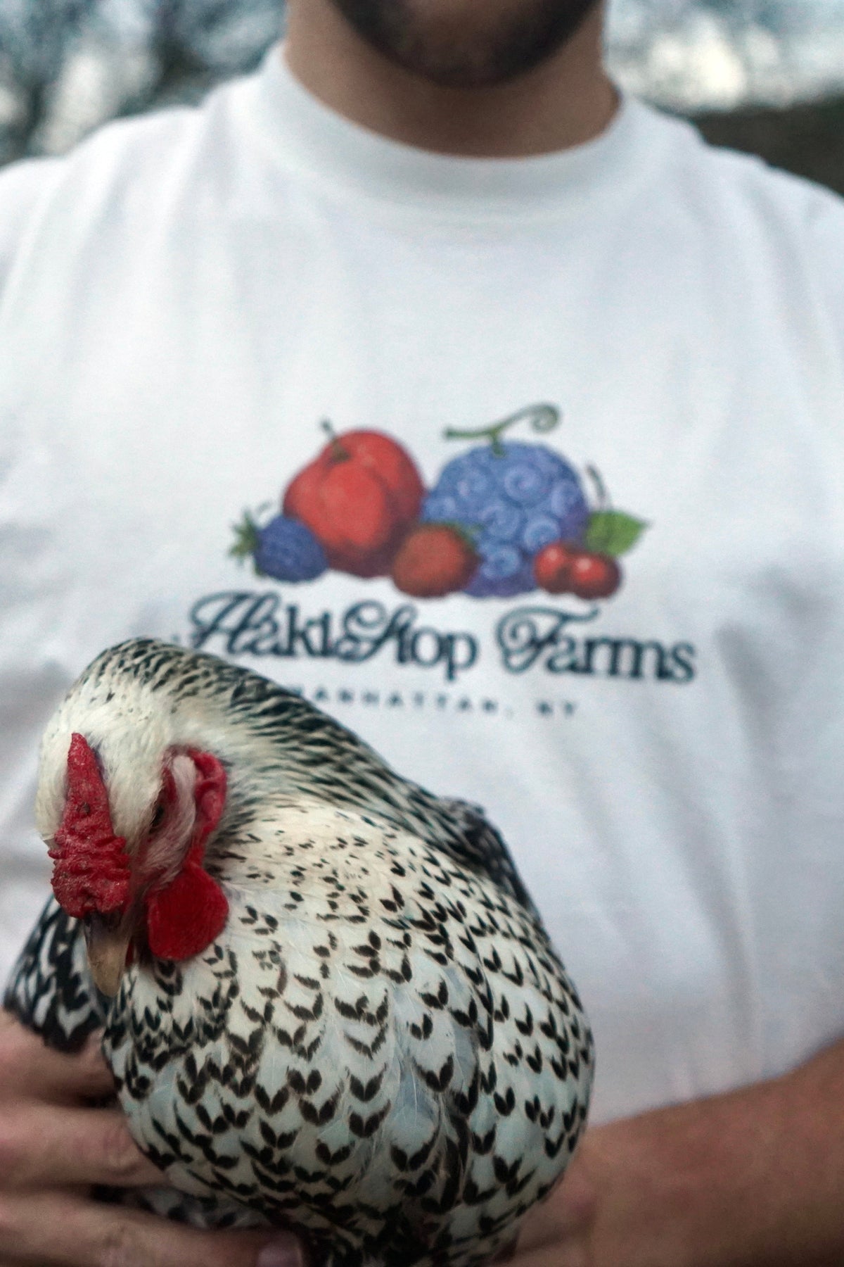 A person wearing a white t-shirt with a colorful fruit graphic and the text 'HickShop Farms Manhattan, NY' holds a black-and-white speckled hen on their shoulder outdoors.