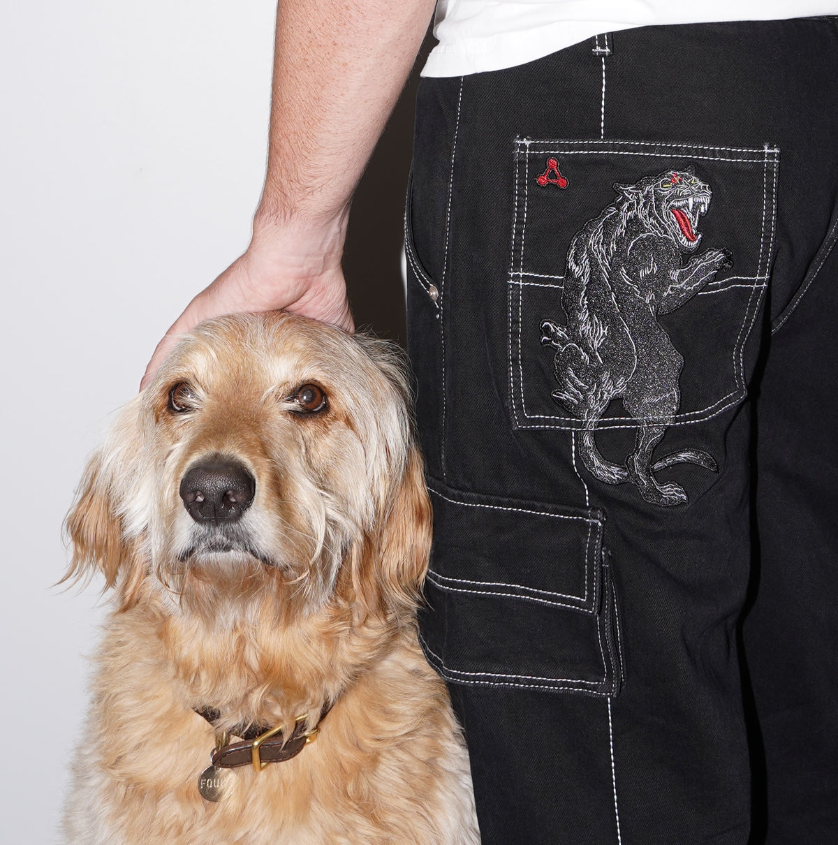 Divine Dogs Pants